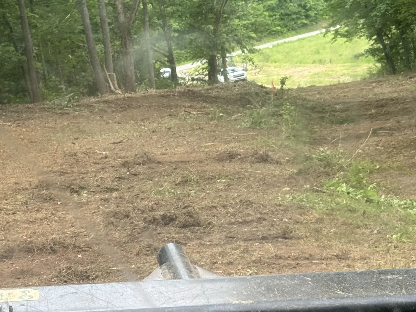 Understory mulched down to chips under hardwoods, seen from the cab