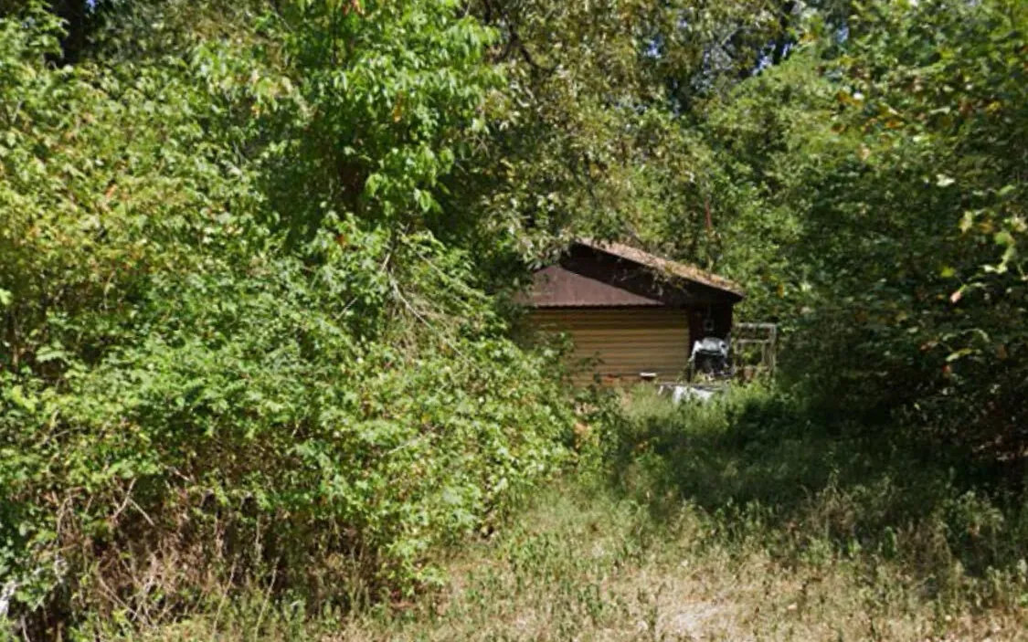 Old wooden shed half hidden in overgrown brush and trees