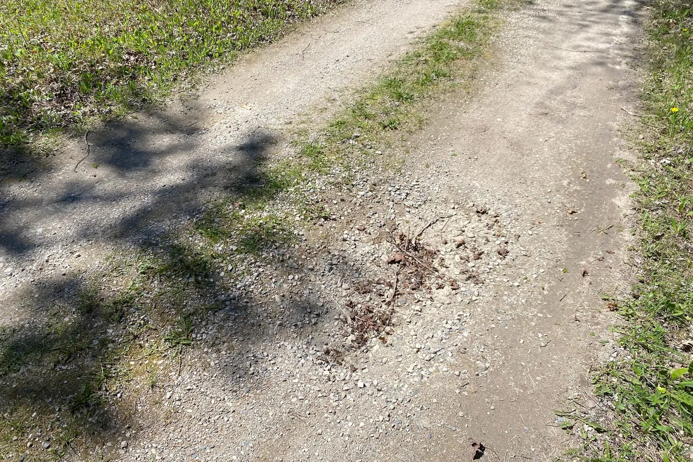 Rutted gravel driveway with a grass strip before regrading